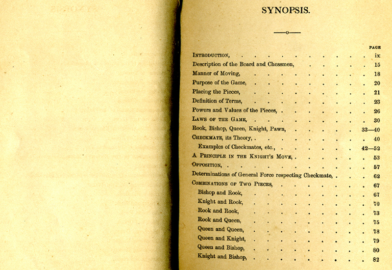 synopsis