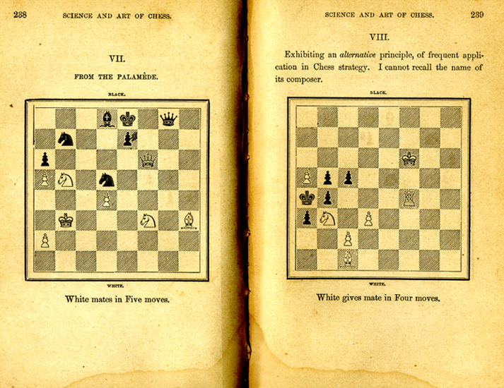 page 238 239