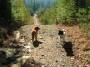 mydogs044.jpg
