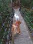 mydogs048.jpg