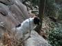 mydogs052.jpg