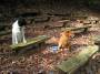 mydogs056.jpg